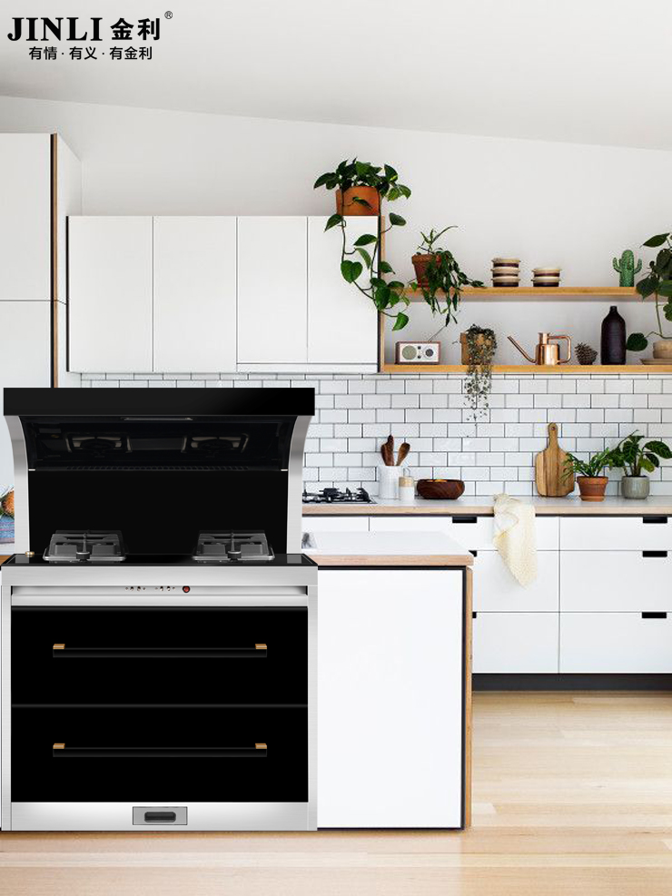 集成灶虽成厨房家电行业新宠儿，但想突破仍需成长