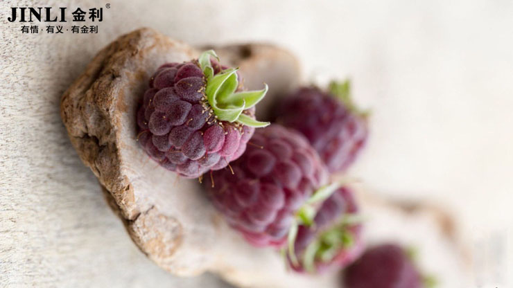 十大品牌金利集成灶-懒癌的福音