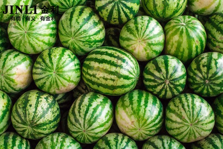 你身上的油烟味是时候让金利集成灶来治了