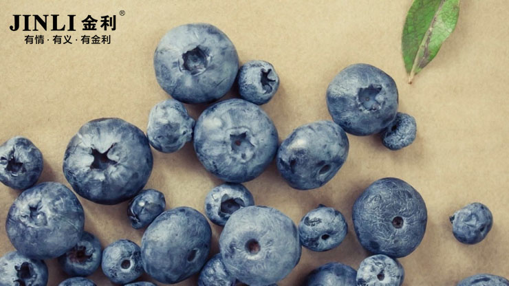 集成灶十大品牌金利:做饭不能随随便便