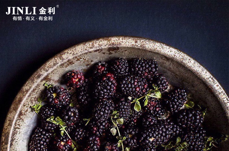 认准金利集成灶,它就是你心目中选择