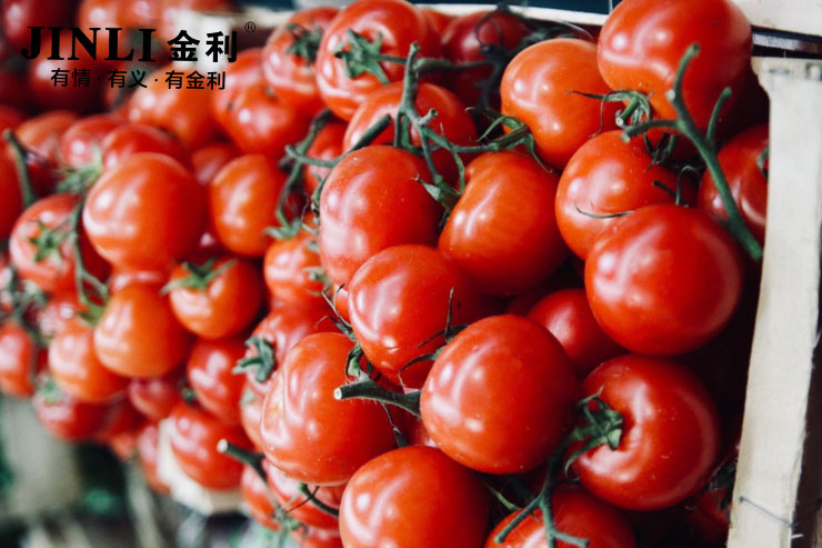 集成灶企业要改革,需要章法不能盲目前进