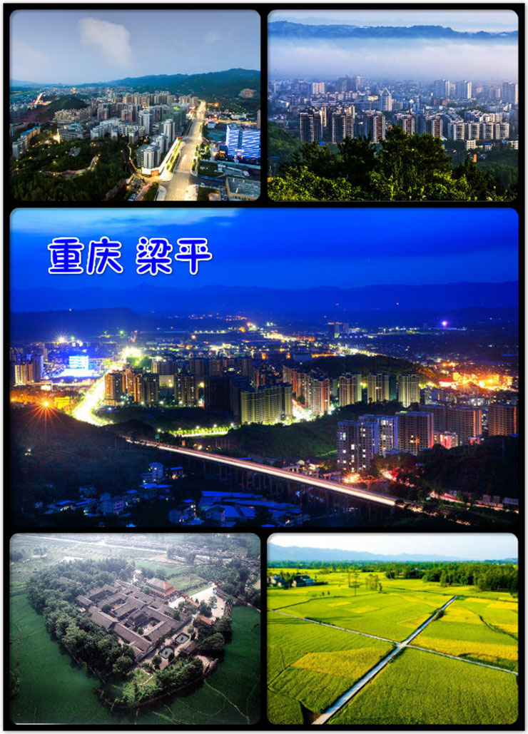 热烈祝贺重庆梁平李总与金利集成灶签约成功！