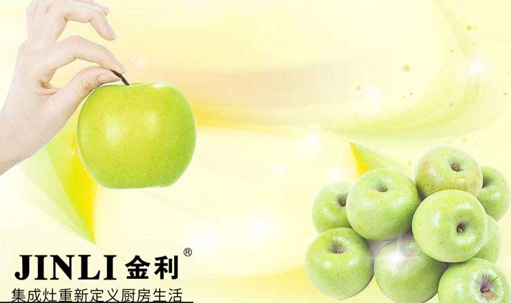 集成灶十大品牌金利:集成灶行业发展走向全屋定制