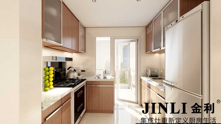 集成灶十大品牌金利,厨房电器也开始"一代新人换旧人"