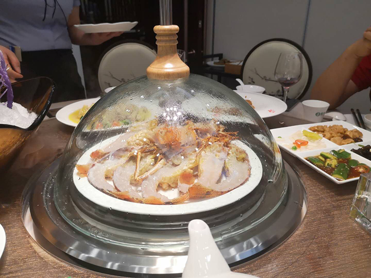 金利集成灶看好健康餐饮，预计投资千万进军大健康文化产业