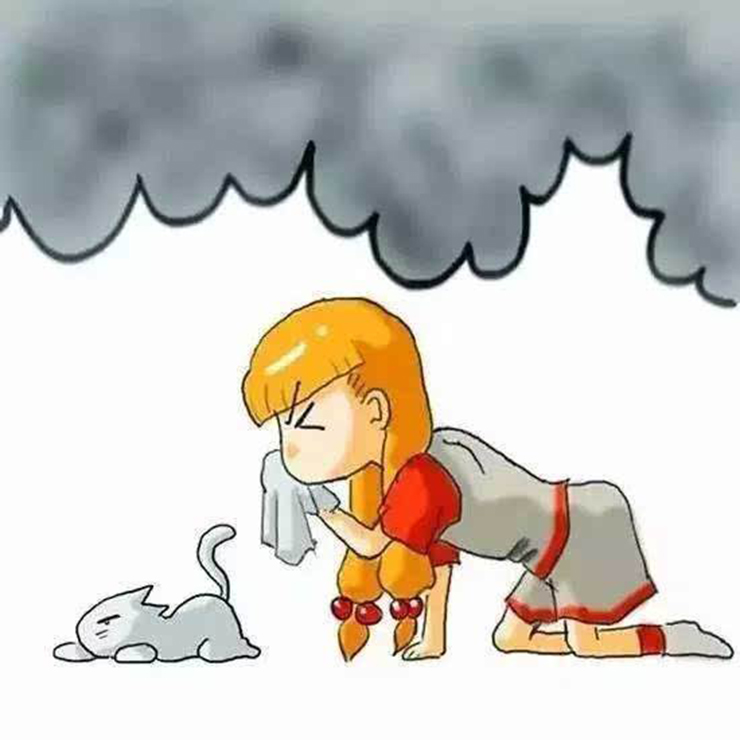 金利集成灶|防灾减灾日 你必须知道的应急避灾小知识！