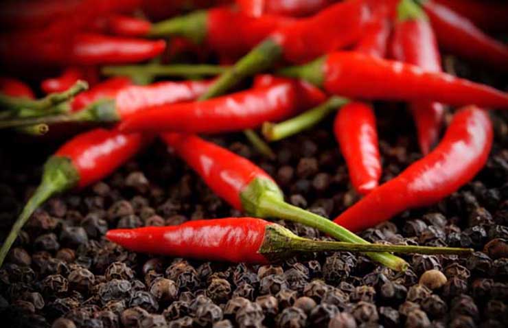 夏季养胃大法，金利集成灶都为你准备好了！