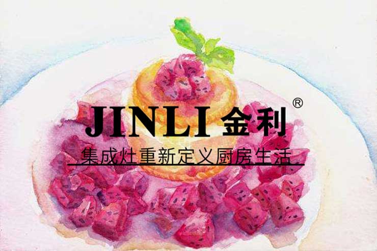 集成灶10大品牌金利,烦恼事一堆但起码厨房是一片净土