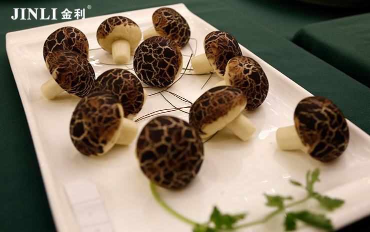 集成灶十大品牌金利，多功能集于一体，智能引领生活