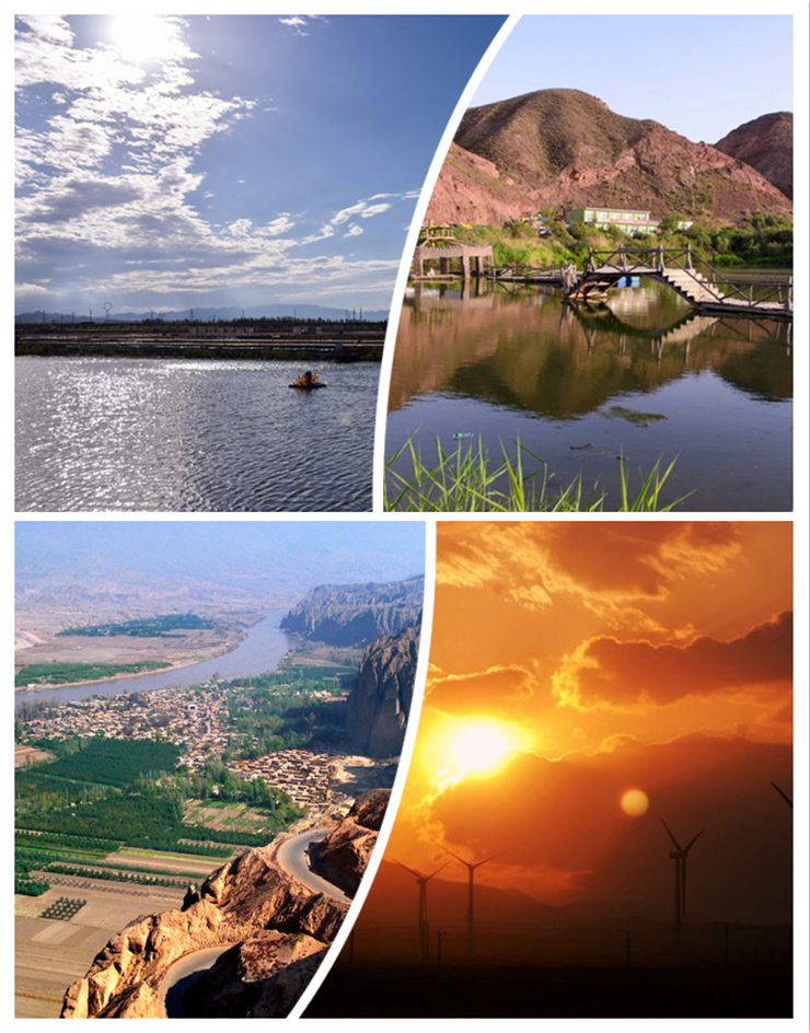 热烈祝贺甘肃景泰县马总成功签约金利集成灶