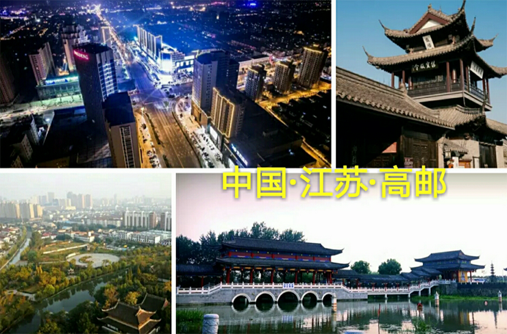 千城万店全民营销引爆行业新趋势 金利集成灶江苏高邮分公司成立