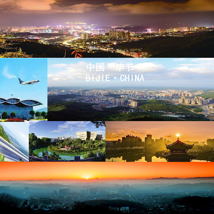 热烈祝贺金利集成灶毕节市金沙办事处成立