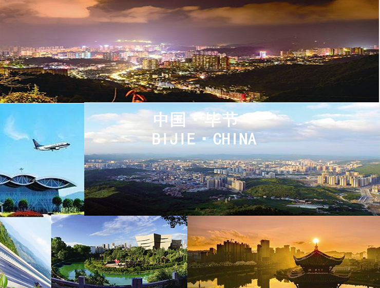 上阵不离父子兵 热烈祝贺金利集成灶毕节市区分公司成立