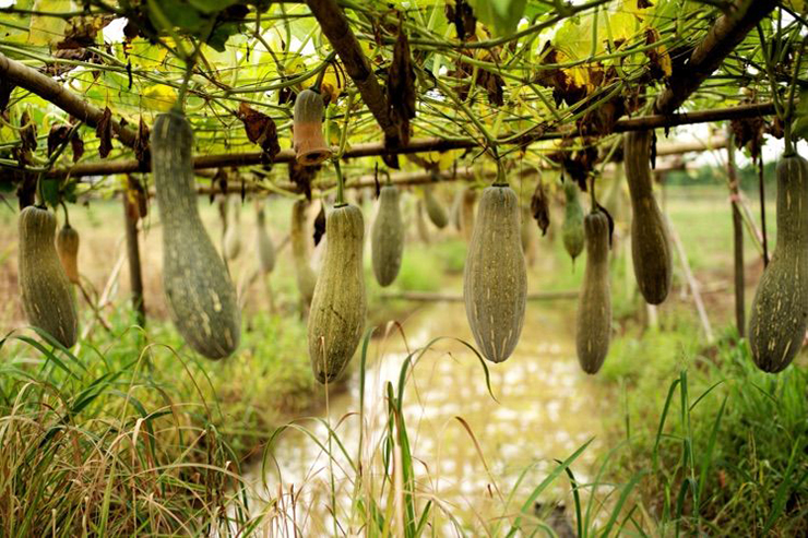 凝心聚力 再创辉煌——2020年金利集成灶团建活动圆满结束