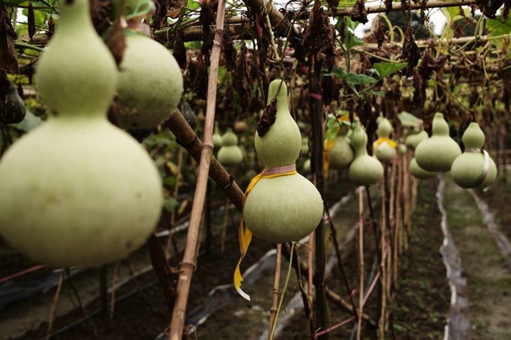 凝心聚力 再创辉煌——2020年金利集成灶团建活动圆满结束