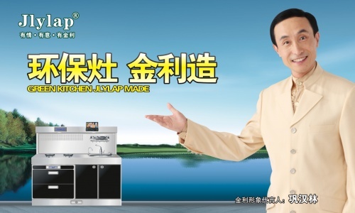 金利集成灶巩汉林代言