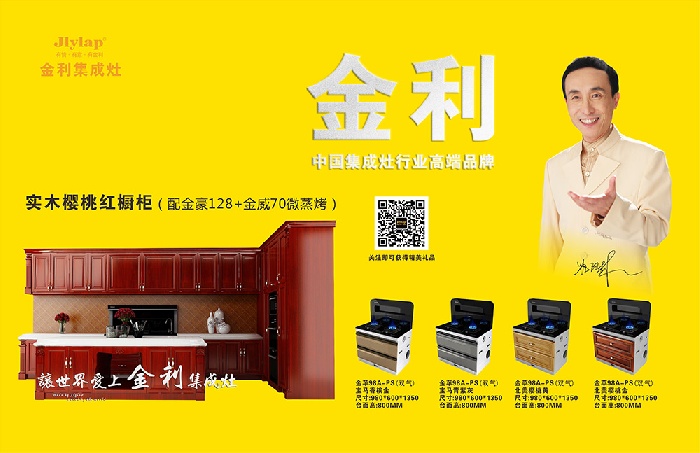 金利集成灶 集成灶十大品牌 集成灶效果图