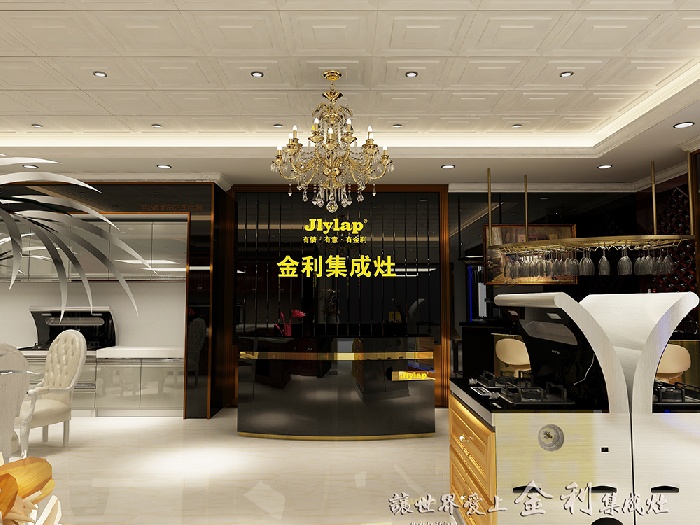 金利集成灶 集成灶加盟店 集成灶旗舰店