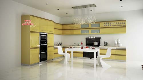 金利集成灶开放式厨房装修图
