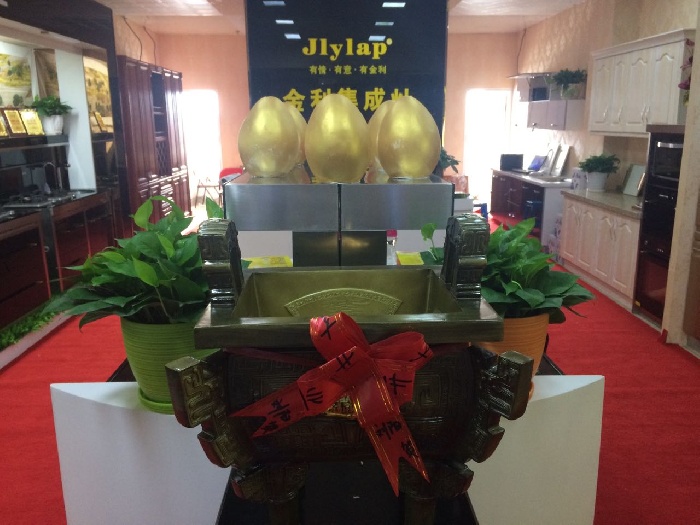 山东烟台金利集成灶旗舰店