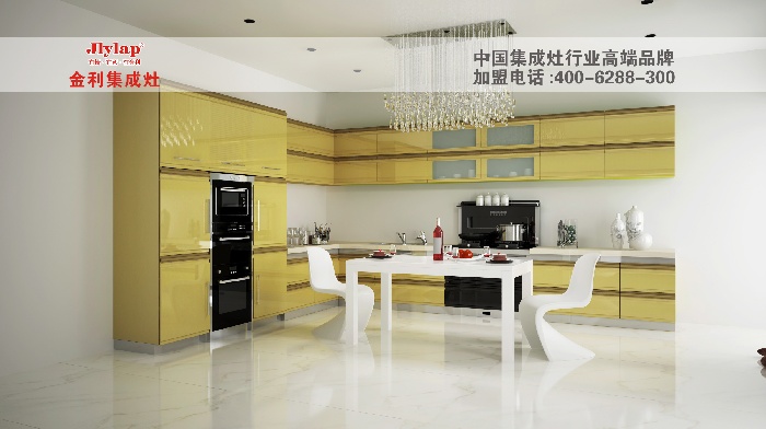 金利集成灶 集成灶十大品牌  集成环保灶